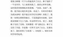 豆腐超人大赛 精彩的比赛作文400字