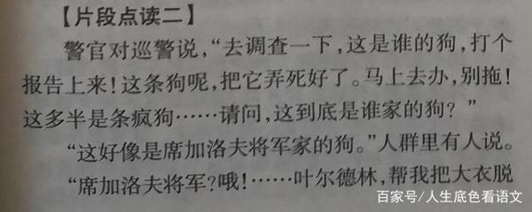 中考记叙文，让精彩的语言描写，为你的作文加分！ 3