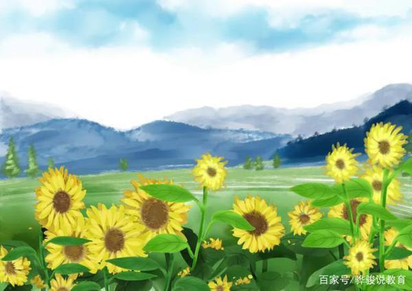 小学生优秀作文:《我爱太阳花》,太阳花像个孩子快乐地成长着