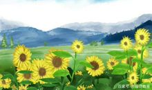 小学生优秀作文：《我爱太阳花》，太阳花像个孩子快乐地成长着