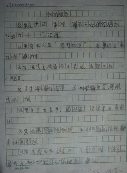 我未来的家乡作文450字