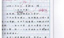 越来越糊涂作文