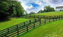 学葫芦丝的酸甜苦辣作文