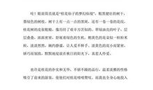 奥数学完了 四年级记叙文300字