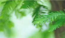 原来如此！作文怎么办系列：在作文里不会表达自己的心情，怎么办？