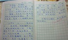 我的妈妈 四年级我的妈妈作文300字