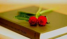 《好妈妈胜过好老师》第二章节读后感