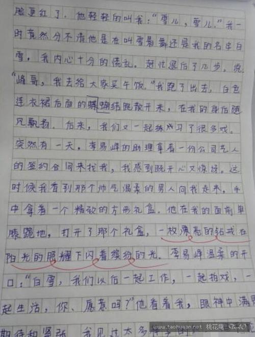 爸爸的日记 成人日记300字