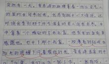 爸爸的日记 成人日记300字