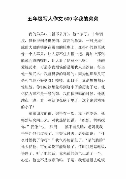 我的弟弟_500字