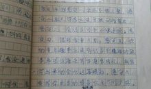 捉鱼趣事 四年级优秀叙事作文500字