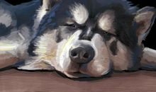 我们家的虎子 我家的小狗作文300字