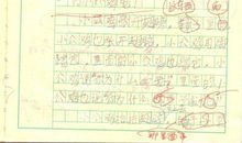 好斗的小公鸡 三年级想象故事作文300字