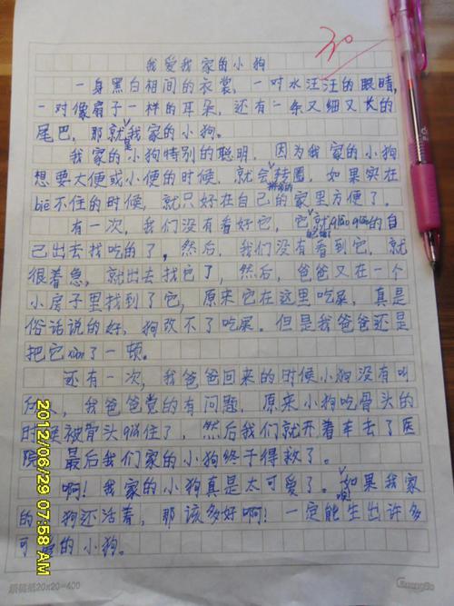 我和贝贝发生的事 我的小狗朋友作文300字