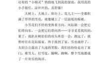 下雪 我爱下雪天作文300字