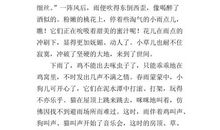 春雨即景 描写春雨的作文400字