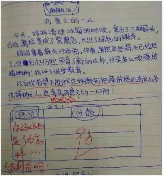 原创 你永远不知道孩子的作文会写什么，细数那些让家长暴走的作文