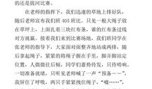 得与失 难忘的比赛作文400字