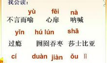 读《落花生》有感小学作文8篇