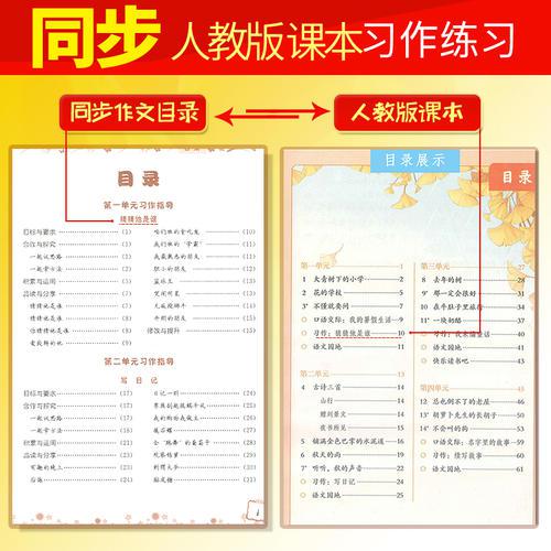 文化交流材料优秀作文