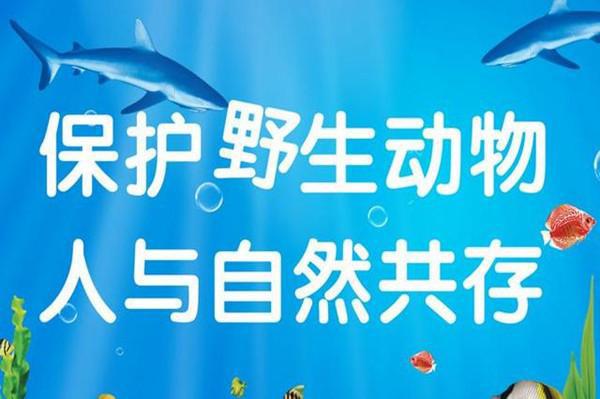 2020高考“押题”:作文可能会从这些方面出题,高三学子别马虎! 5