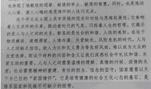 风中的老人作文