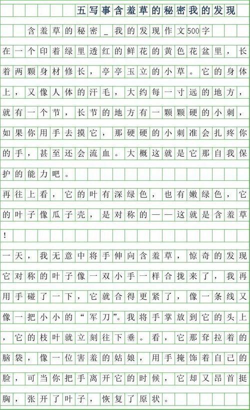 我的发现 神奇的发现作文500字