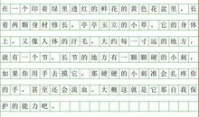 我的发现 神奇的发现作文500字