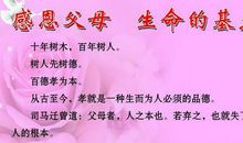 感恩 亲子日记300字