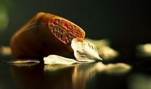 冷雨知冷香散文