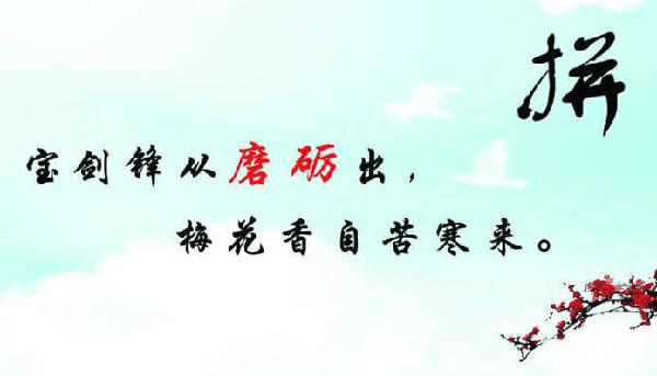 儿子在努力 努力的儿子作文300字