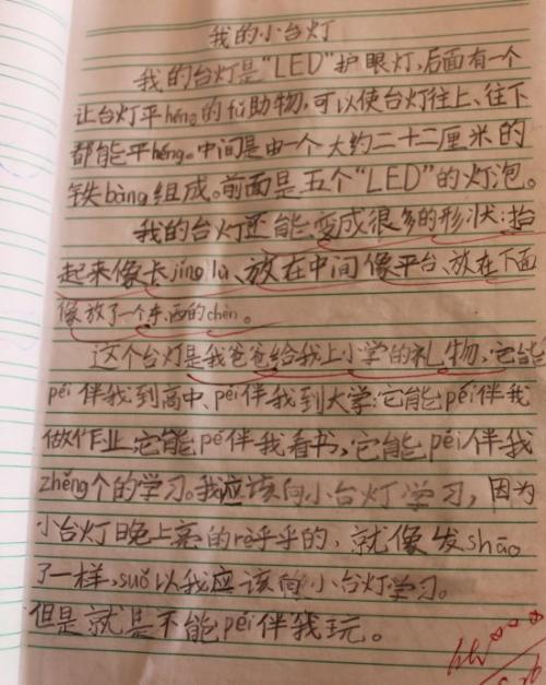 我爱家中的小台灯作文