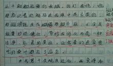 描写动物的200字作文5篇
