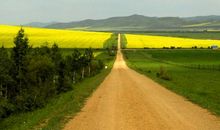 向往远方的美作文