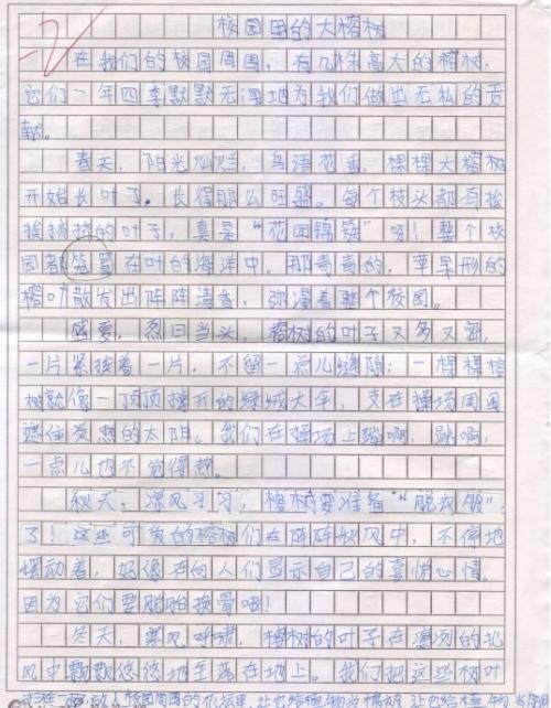 校园里的新鲜事五年级作文300字
