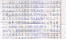 校园里的新鲜事五年级作文300字