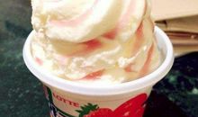 冰激凌的诞生 自己做冰淇淋作文400字