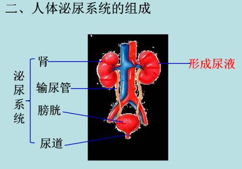 妇产科手术致泌尿系统损伤原因分析论文