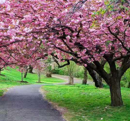 一儒老师讲作文(六)——五官写作法