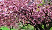 一儒老师讲作文(六)——五官写作法