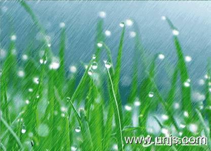 描写春雨的心情句子