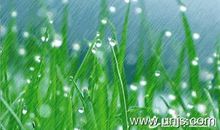 描写春雨的心情句子