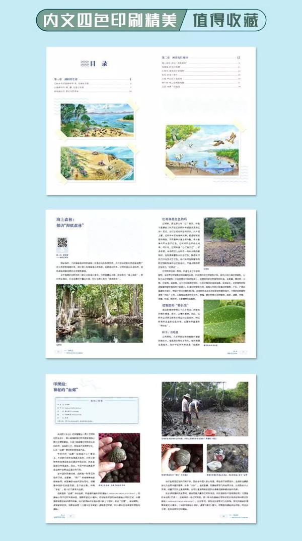 关于大海的宝藏，这位特别的小读者是这么学的！《Hi!赶海去》读后感 10