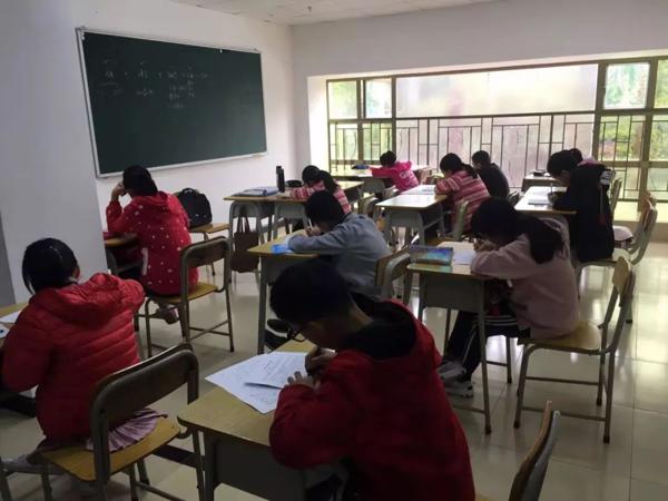 新华培训作文竞赛 4