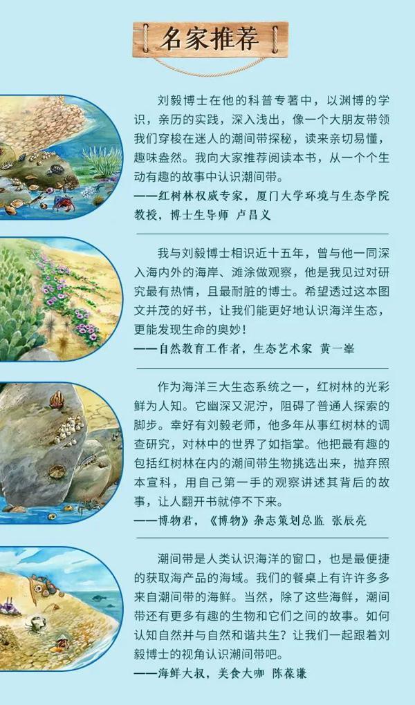 关于大海的宝藏，这位特别的小读者是这么学的！《Hi!赶海去》读后感 9