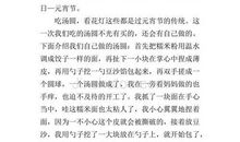 闹元宵小学生叙事作文