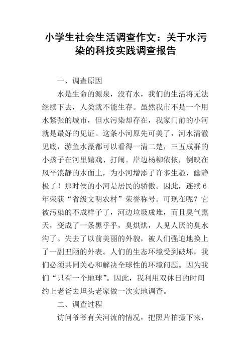 河水污染调查报告作文