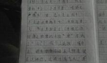 小学生零花钱调查报告作文500字