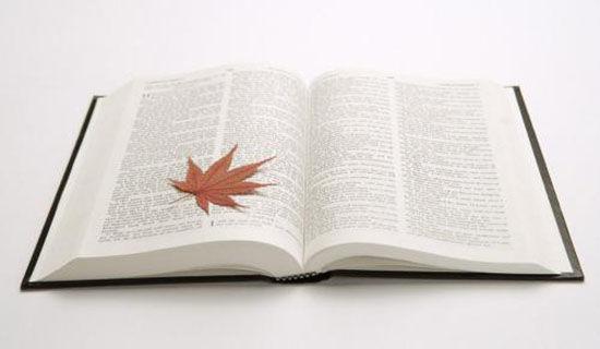 物业管理年终个人工作总结范文