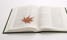 物业管理年终个人工作总结范文